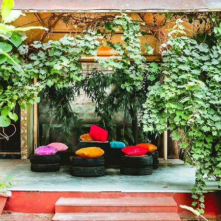 Farmstay - Capsule Den Új-Delhi Kültér fotó