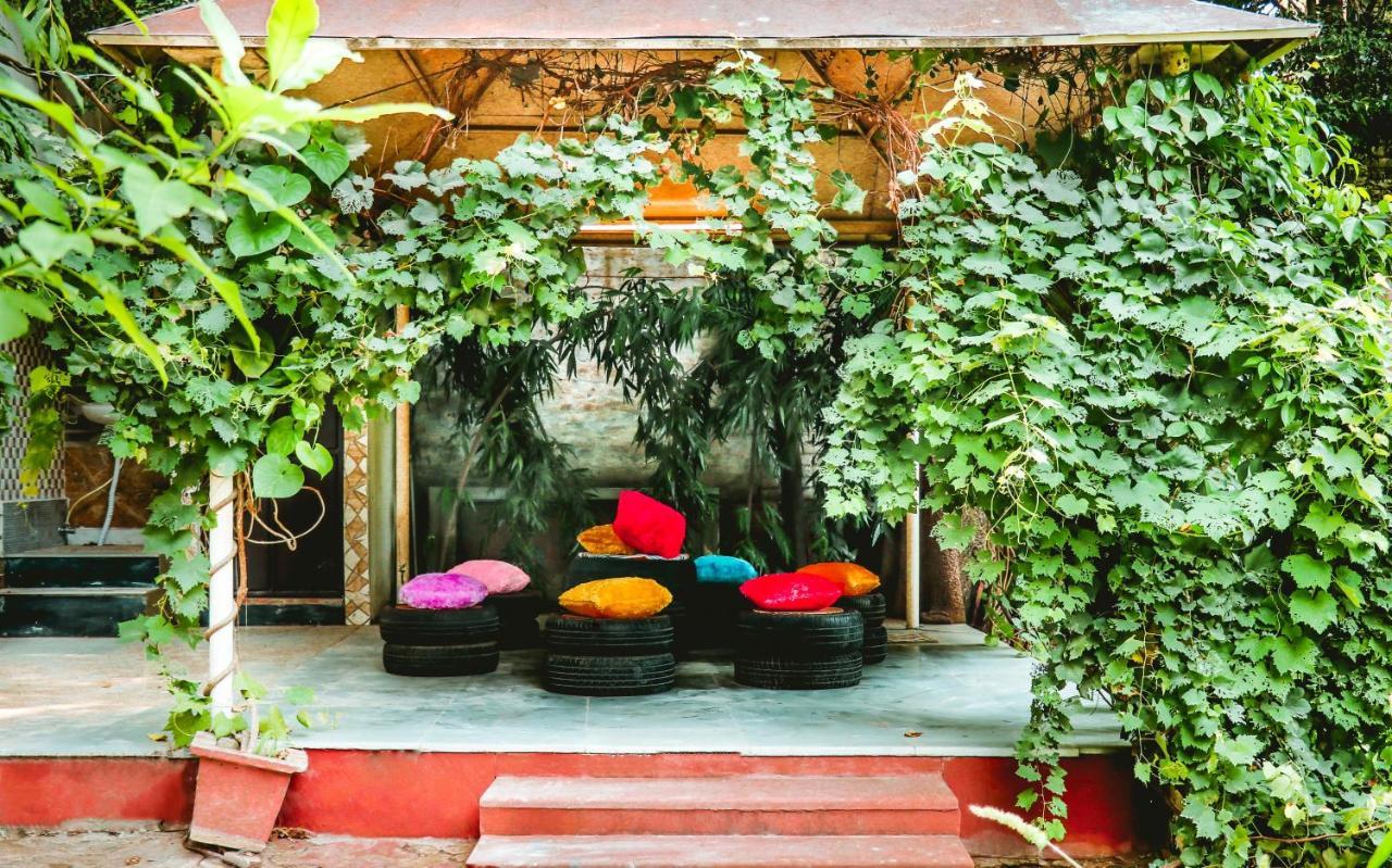 Farmstay - Capsule Den Új-Delhi Kültér fotó